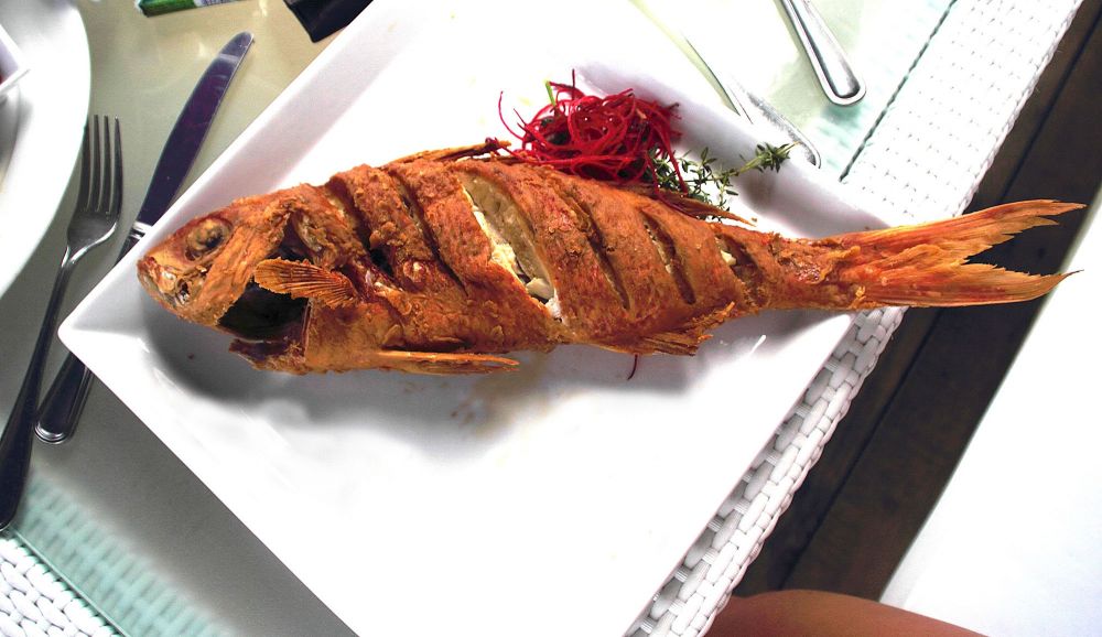 سمكة مقلية تعود للحياة في أحد المطاعم..فيديو