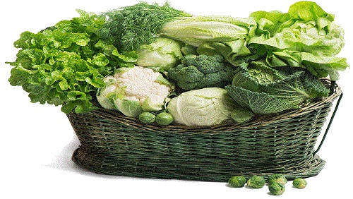 أسعار الخضروات والفاكهة في سوق العبور اليوم الأربعاء