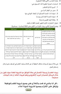 وظائف شاغرة للخريجين في البنك الزراعي المصري