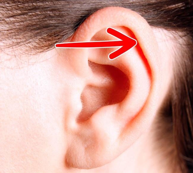 بعض أجزاء الأذن