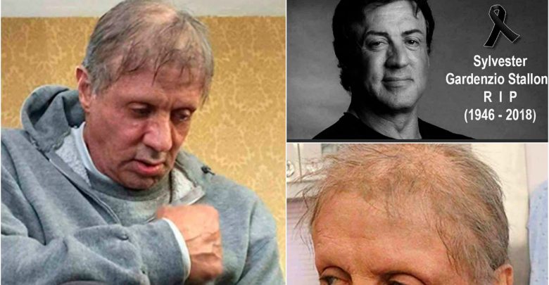 افلام سلفستر ستالون القديمة
