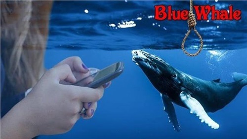 ضحية جديدة للعبة الحوت الأزرق وهذه هي التفاصيل