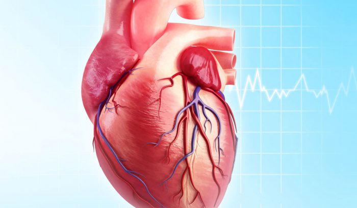 اهم المعلومات عن مرض القلب لدي الشباب واسباب الاصابة به