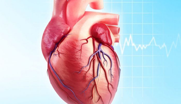 اهم المعلومات عن مرض القلب لدي الشباب واسباب الاصابة به