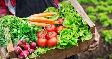 تعرف على أسعار الخضروات اليوم الإثنين 29-10-2018 في الأسواق المصرية