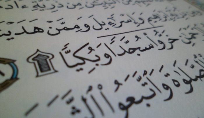 هذا ما يجب أن نفعله عندما نمر بآية سجدة في قراءة القرآن ؟
