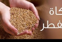 زكاة الفطر