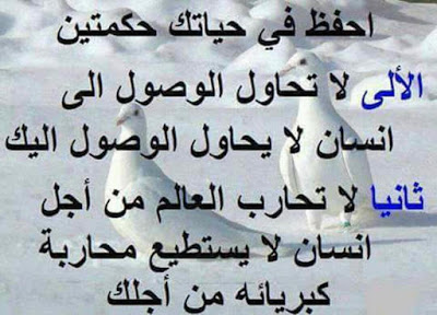 امثال وحكم عن الحب 