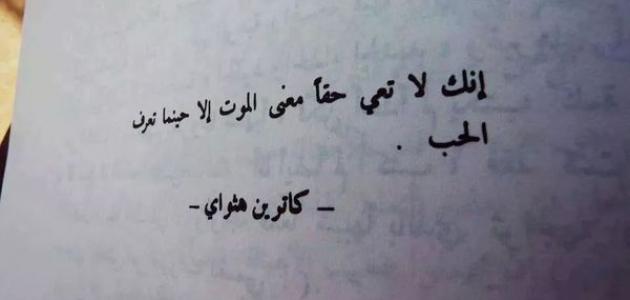 امثال وحكم عن الحب 