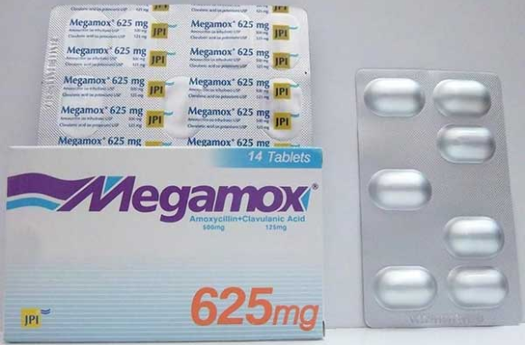 دواعي استعمال megamox