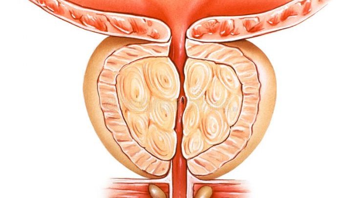 افضل مضاد حيوي لعلاج التهاب البروستاتا