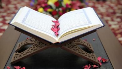 خواطر عن القران