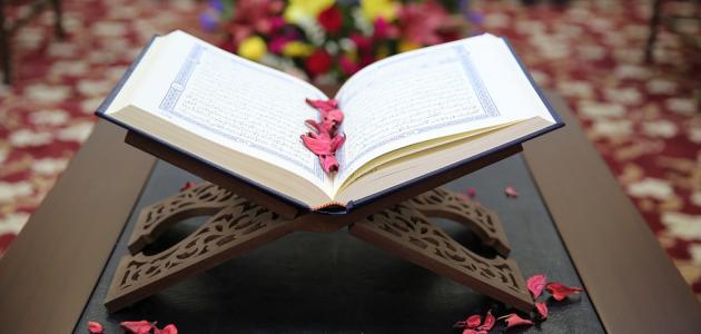 فضل سور القرآن الكريم