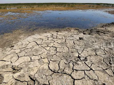 جفاف البحيرات في العراق