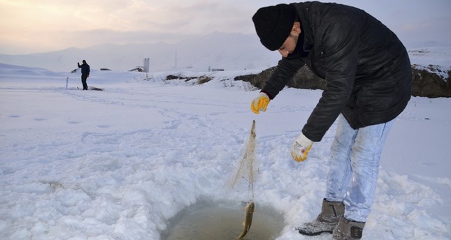 صيد الأسماك من تحت الجليد بتركيا