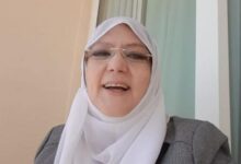 شمس البارودي