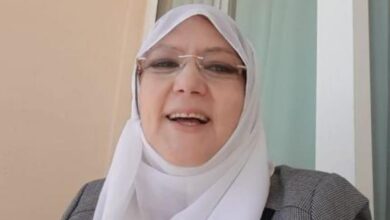 شمس البارودي