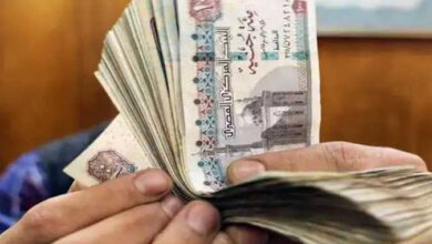 شهادة استثمار جديدة