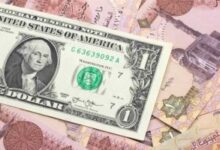 سعر الدولار