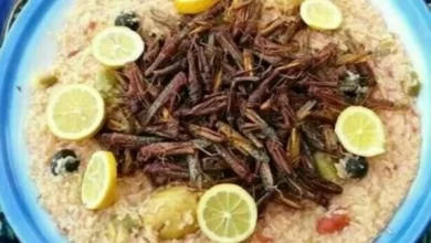أكلات الجراد في السعودية