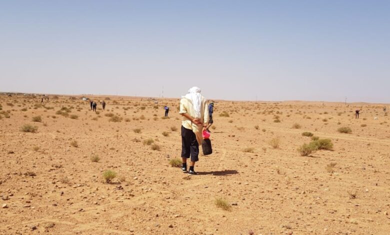 صيد النيازك في المغرب