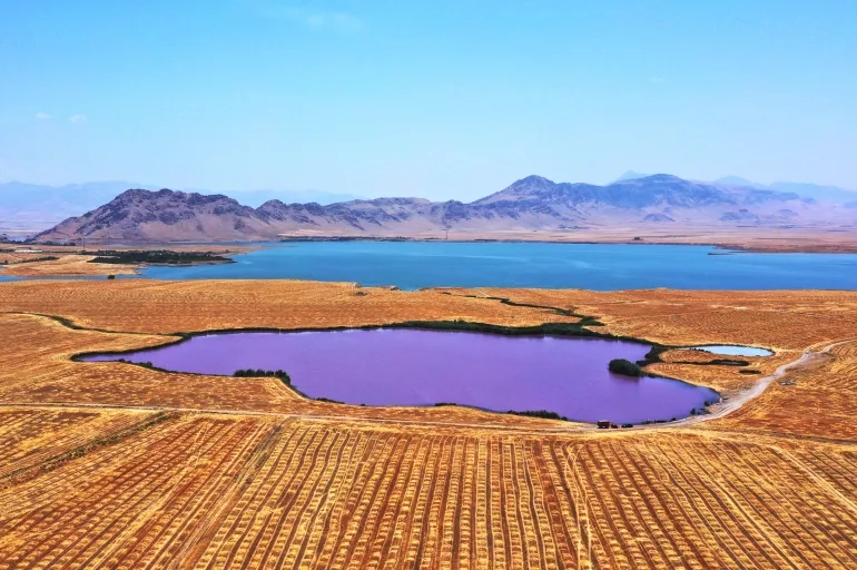 أسرار أغرب بحيرات الوطن العربي