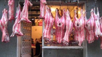 خبر صادم عن أسعار اللحوم في عيد الأضحى.. «مفاجأة للجميع»