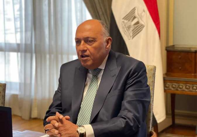 وزير الخارجية: مصر لن تذهب إلى مجلس الأمن مرة أخرى