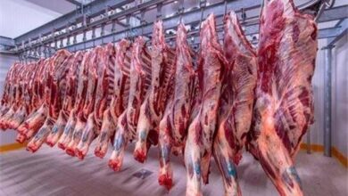 أسعار اللحوم قبل عيد الأضحي