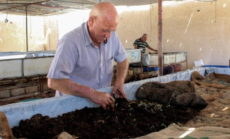 مزارع سوري يجني 15 مليون ليرة شهريا من فكرة جديدة ..فما هي؟