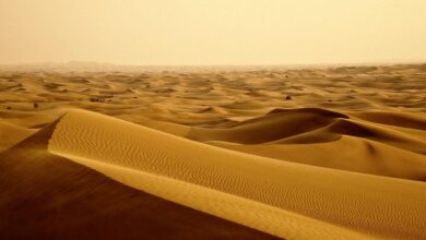 لغز الرمال المهاجرة في صحراء الربع الخالي